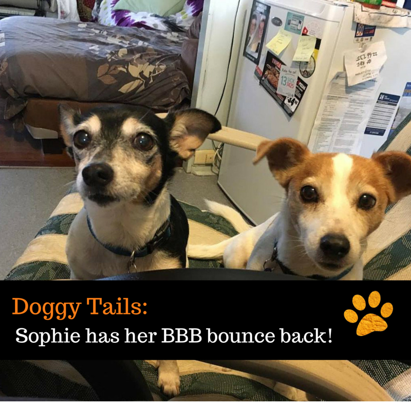 Sophie has her BBB bounce back!