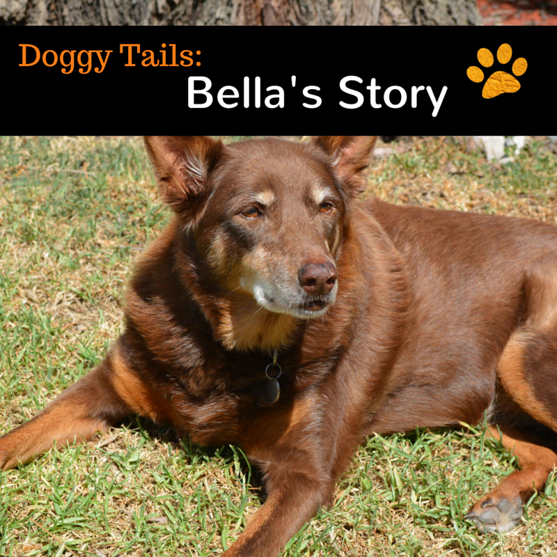 How Rose-Hip Vital Canine helped Bella get back to running