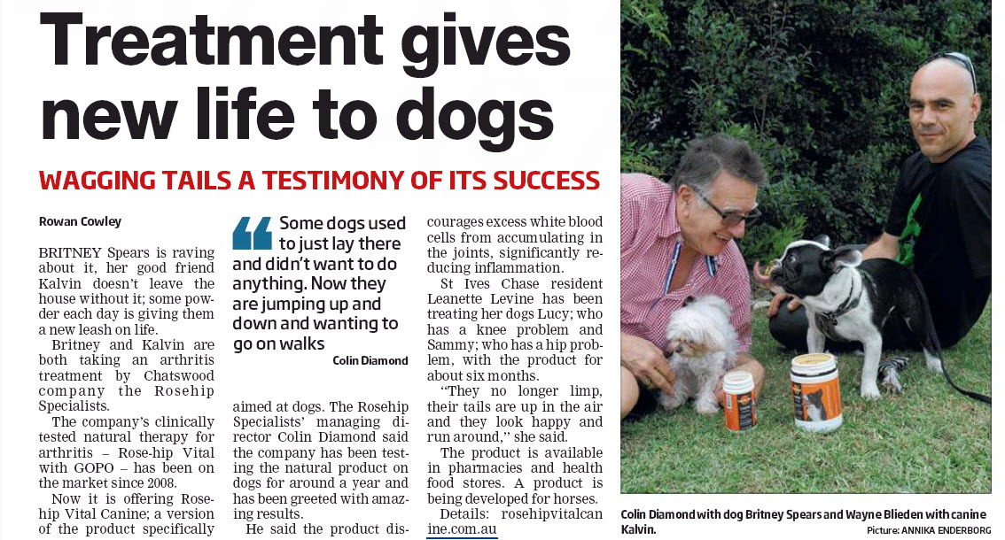 North Shore Times – news article