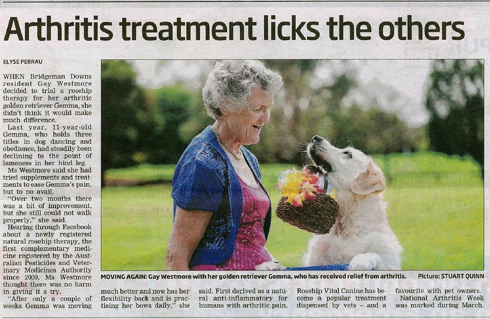 Northside Chronicle – news article