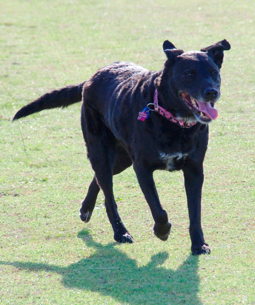 Shattered Hearts and Beautiful Memories. RIP Sasha
