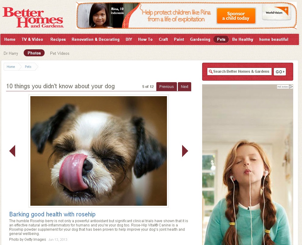 Better Homes and Gardens – news article
