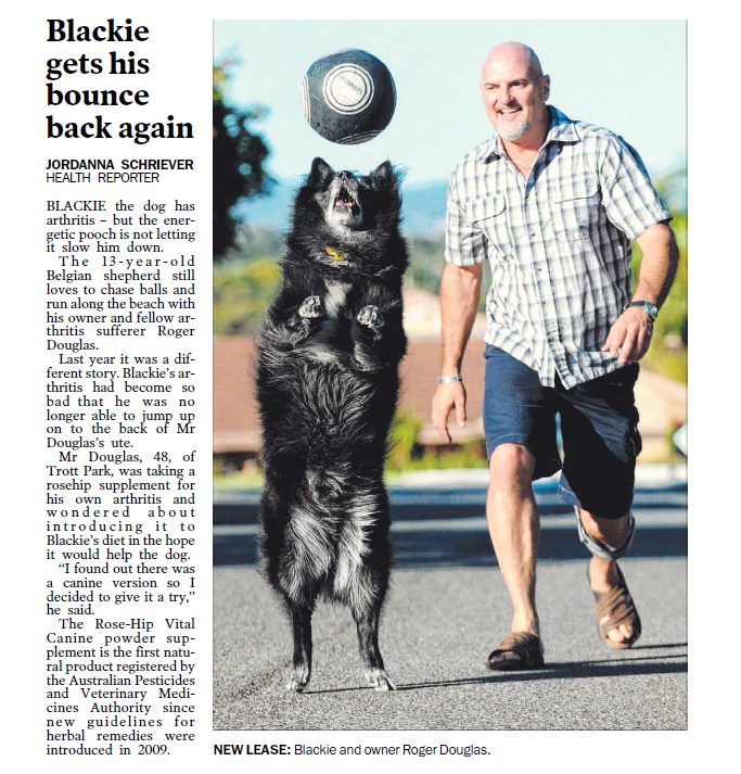 Adelaide Advertiser – news article