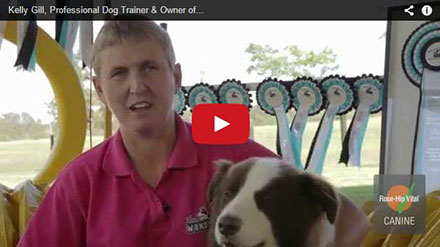 Kelly Gill, Professional Dog Trainer & Owner of “The Wonderdogs”