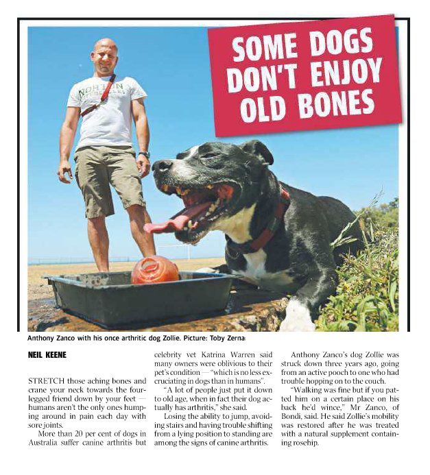 Daily Telegraph – news article